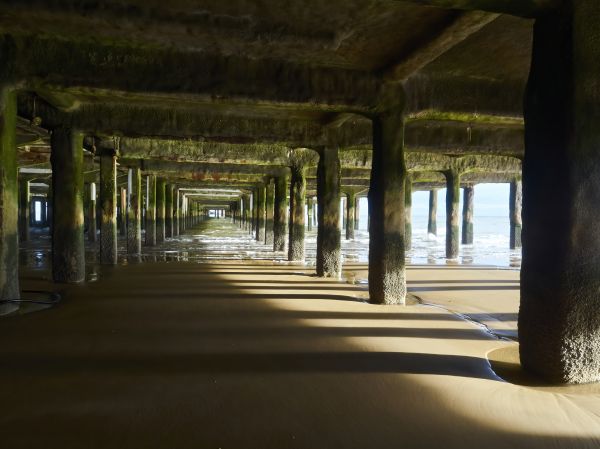 Concrete Pier Repair in Royal Oak